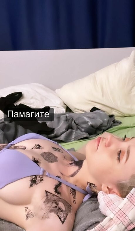 Fasoollka 素敵なスター 写真