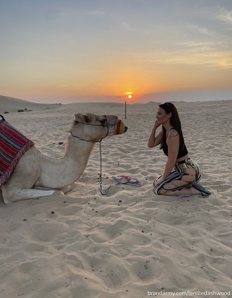 Tenille Dashwood XXXモデル 写真