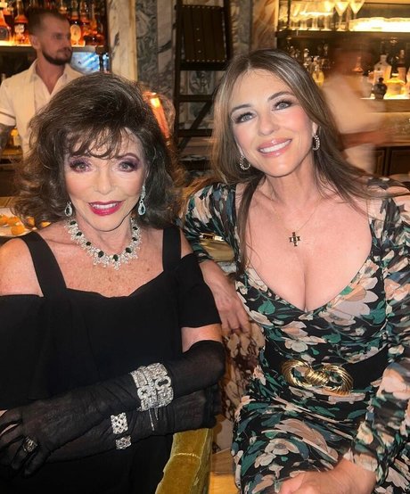 黒檀の猫オンリーファンズ ホットxxx 写真