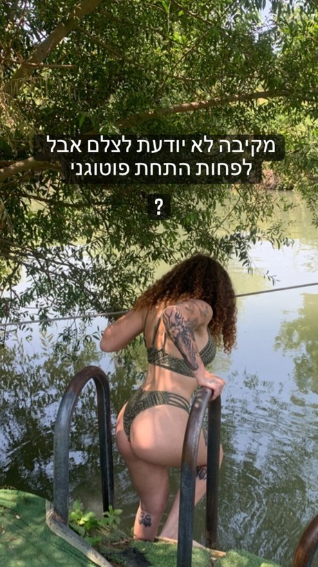 バレーボール オンリーファンズ HD アーカイブ