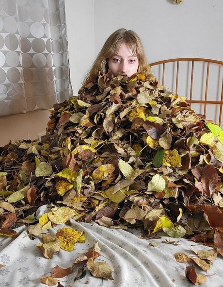 バニー無料OnlyFans ポルノ 写真