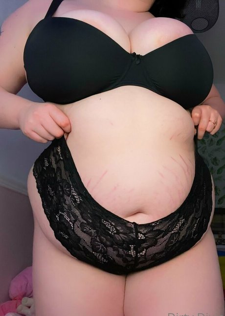 dirty dixie 高品質スター 写真