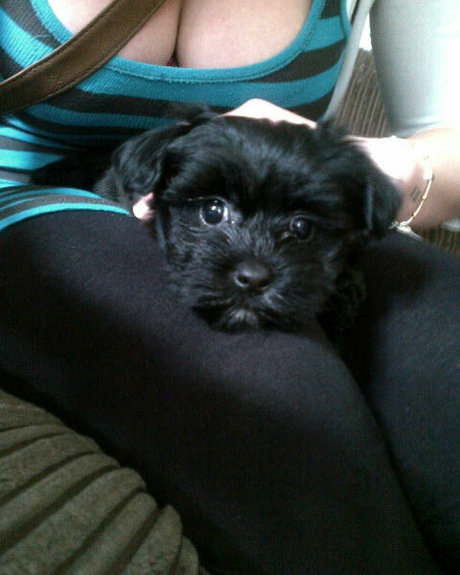 巨乳 パイズリ OnlyFans ポルノ 写真