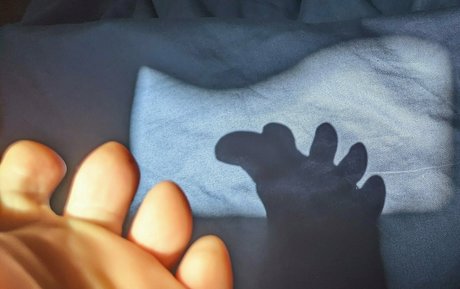 tashad4715 ホットなポルノスター 画像