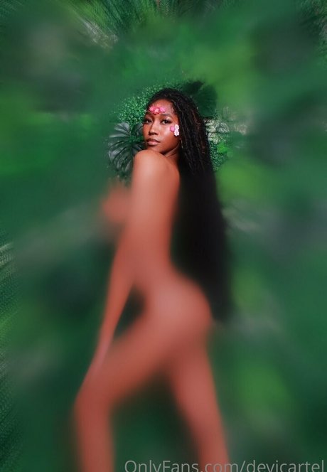 Devicartel 無料のスター 写真