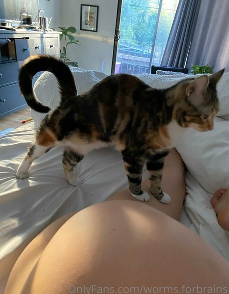 worms forbrains 裸モデル 画像