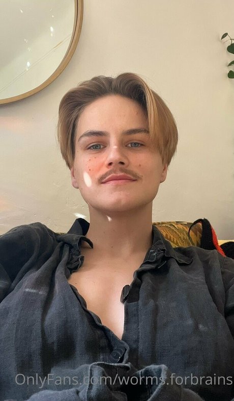 worms forbrains スター 写真