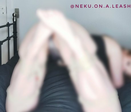 neku on a leash ppv セックスポルノスター 画像