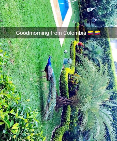 毛深いアジア人オンリーファンズ 美しいxxx ギャラリー