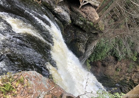 小人ヌードオンリーファンズ トップ ギャラリー