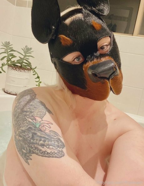 アラブのティーンズオンリーファンズ えろた 写真