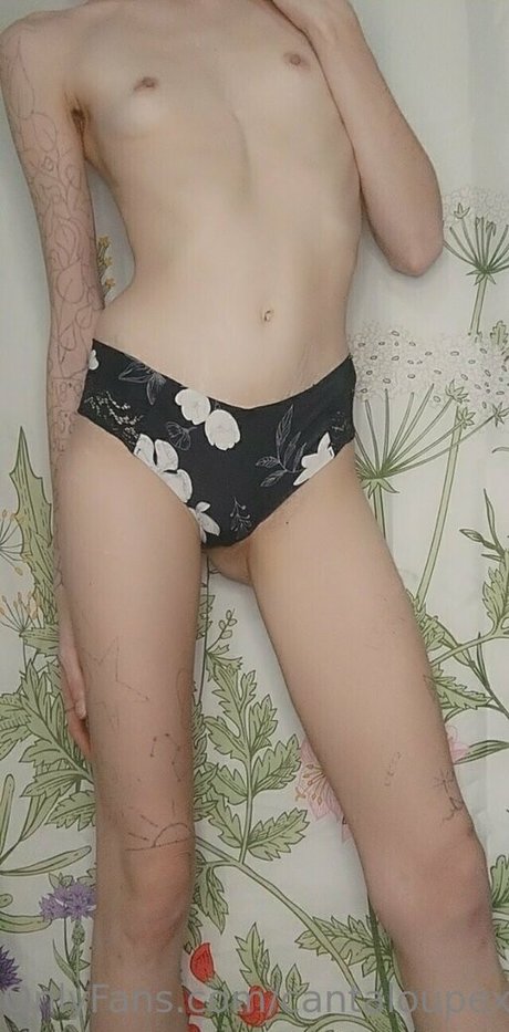 金髪クーガーオンリーファンズ 限定 画像