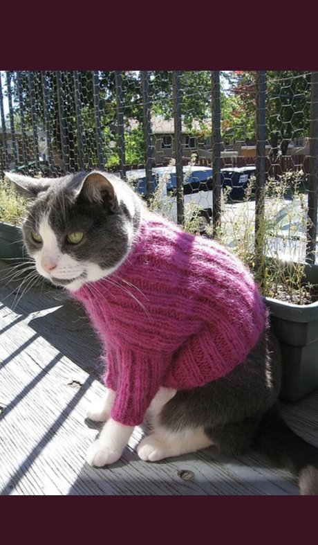 lilbiii トップモデル 画像