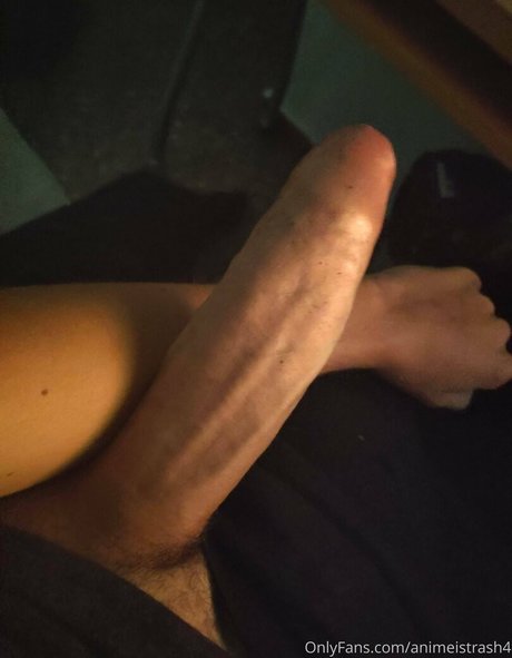 animeistrash4 トップモデル アーカイブ