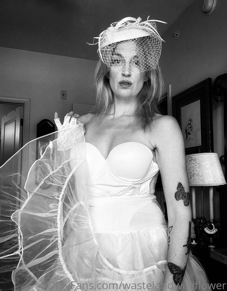 wastelandwildflower 高品質モデル 写真