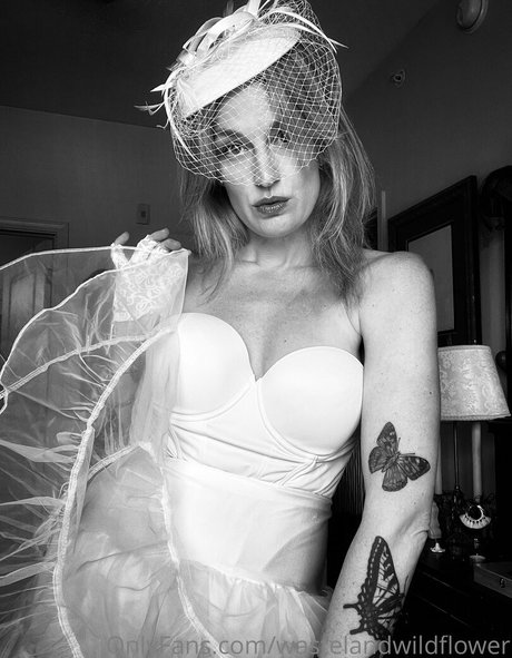 wastelandwildflower Profilbild