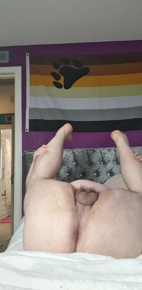 powerboar HDスター 画像