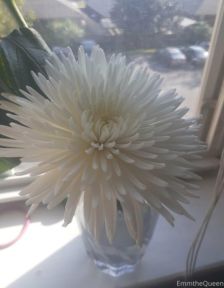 裸ヌードOnlyFans えろた 写真