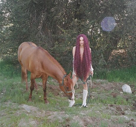 sadsamo 最高のスター ギャラリー