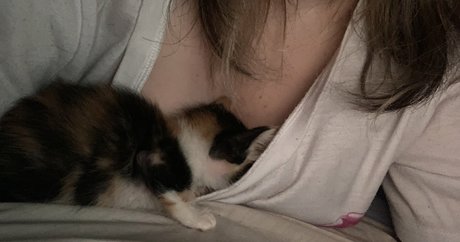 Gomi Kukara ポルノスター ギャラリー