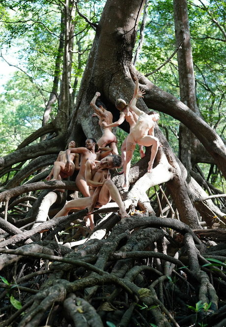 Krystal Tantric Yogi ホットなポルノスター ギャラリー