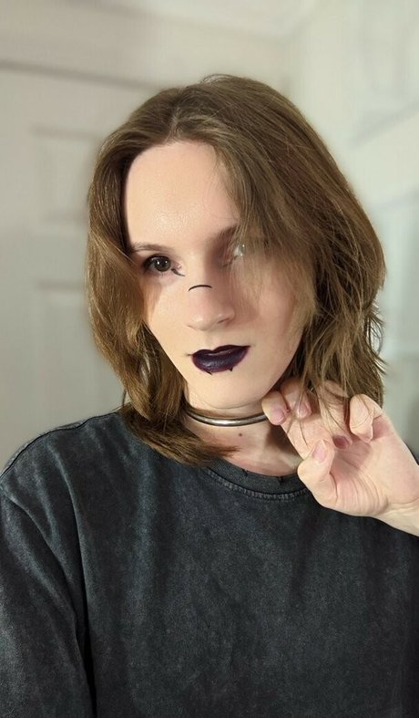 Shaninjago 無料スター 写真