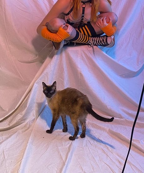 Locallbimbo アダルトスター アーカイブ