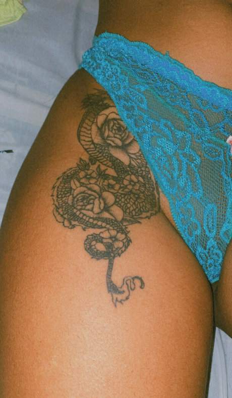 papaidrigo 無料スター 写真