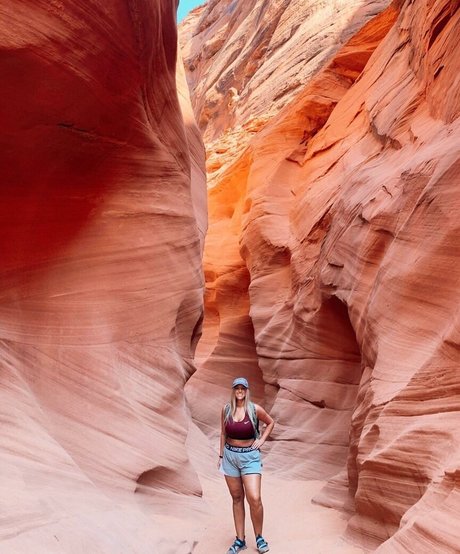 不明なファン 美しい裸 画像