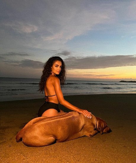 バレーボール オンリーファンズ セックス 写真