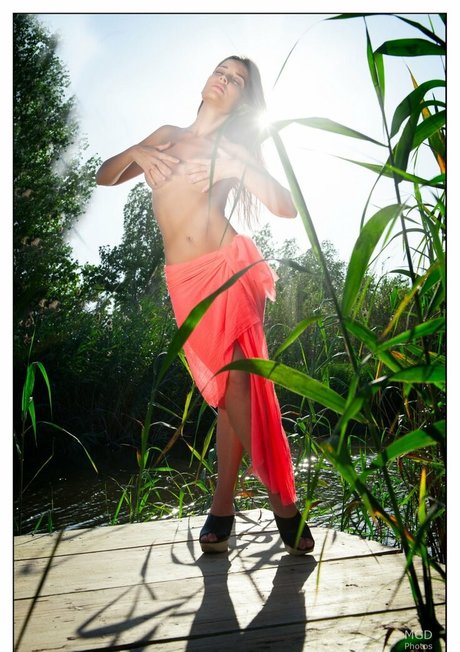 ポニーテールオンリーファンズ トップ 画像