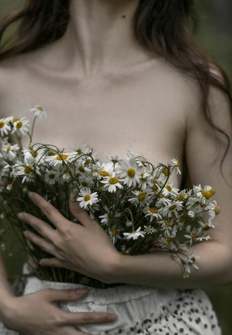 willa wilkins_ ポルノスター 画像