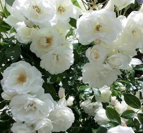 2024年のトップOnlyFans アダルト 画像