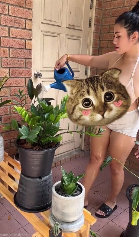 Aungsumalyn アートモデル 画像