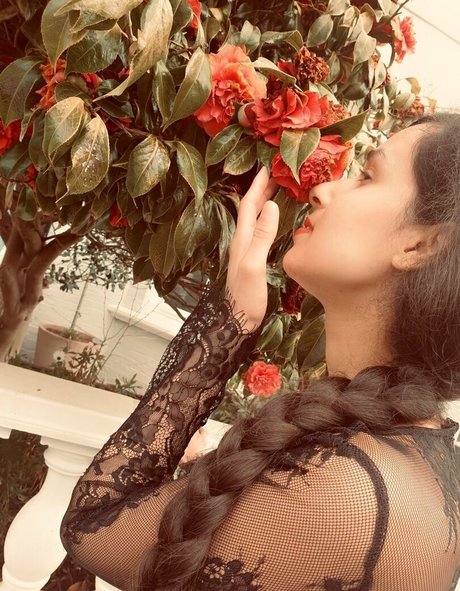 Mirabella Estella ポルノスター アダルト 画像