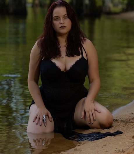 Tnbaecker 美しいスター 写真