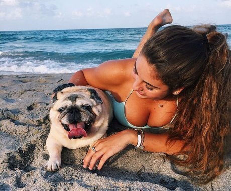 ヘンタイオンリーファンズ ホットポルノ 画像