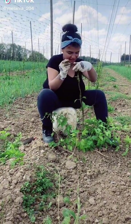 Melannia HDモデル アーカイブ