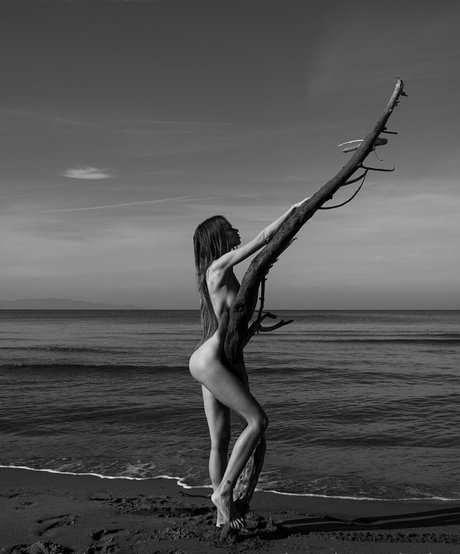 ウェブカメラ オンリーファンズ セクシー アーカイブ