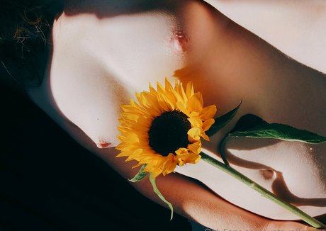 wetsunflowers 独占ポルノスター 写真