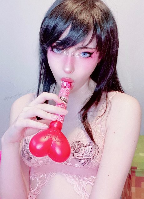 boople snoot かわいいスター 写真