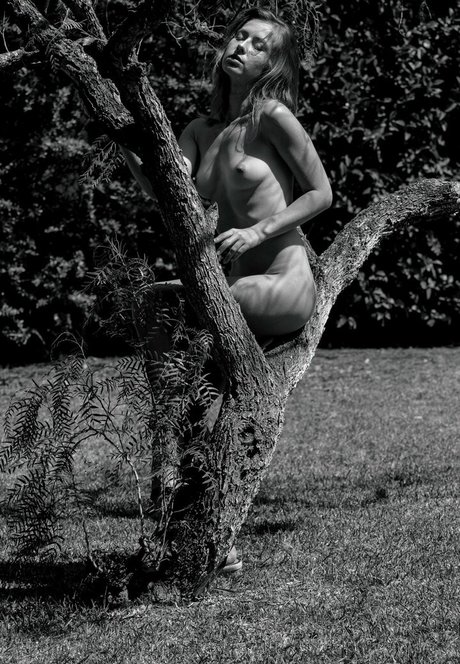 Diana Lark 素敵なスター 写真