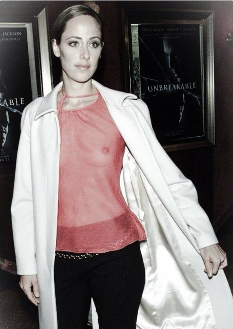 Kim Raver アートスター 写真