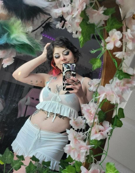 Neko Noire スター 画像