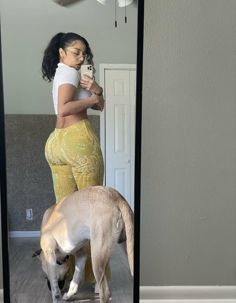 かわいいシーメールオンリーファンズ 限定 画像