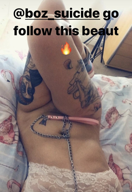 Boz suicide 最高のスター 写真