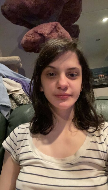 ceilingant トップスター 画像