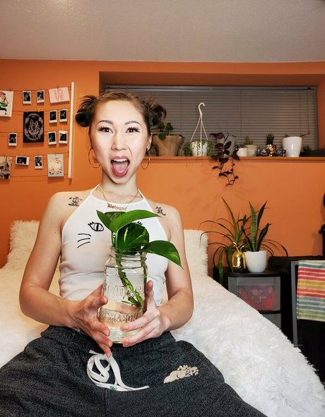 Kimora Koi 高品質モデル 写真