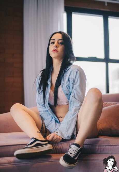 Janis Vitti ヌードスター 写真