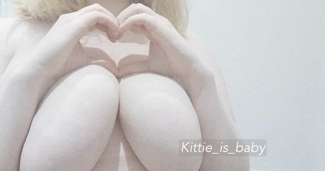 soft kttn ホットなスター 画像